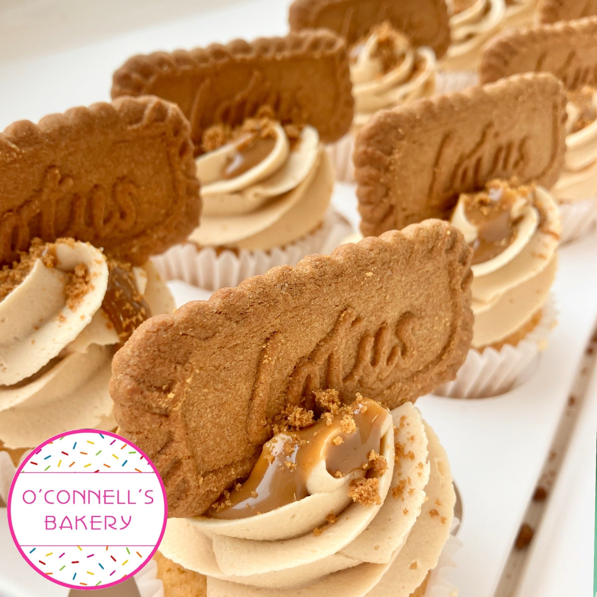 Cupcakes - Biscoff